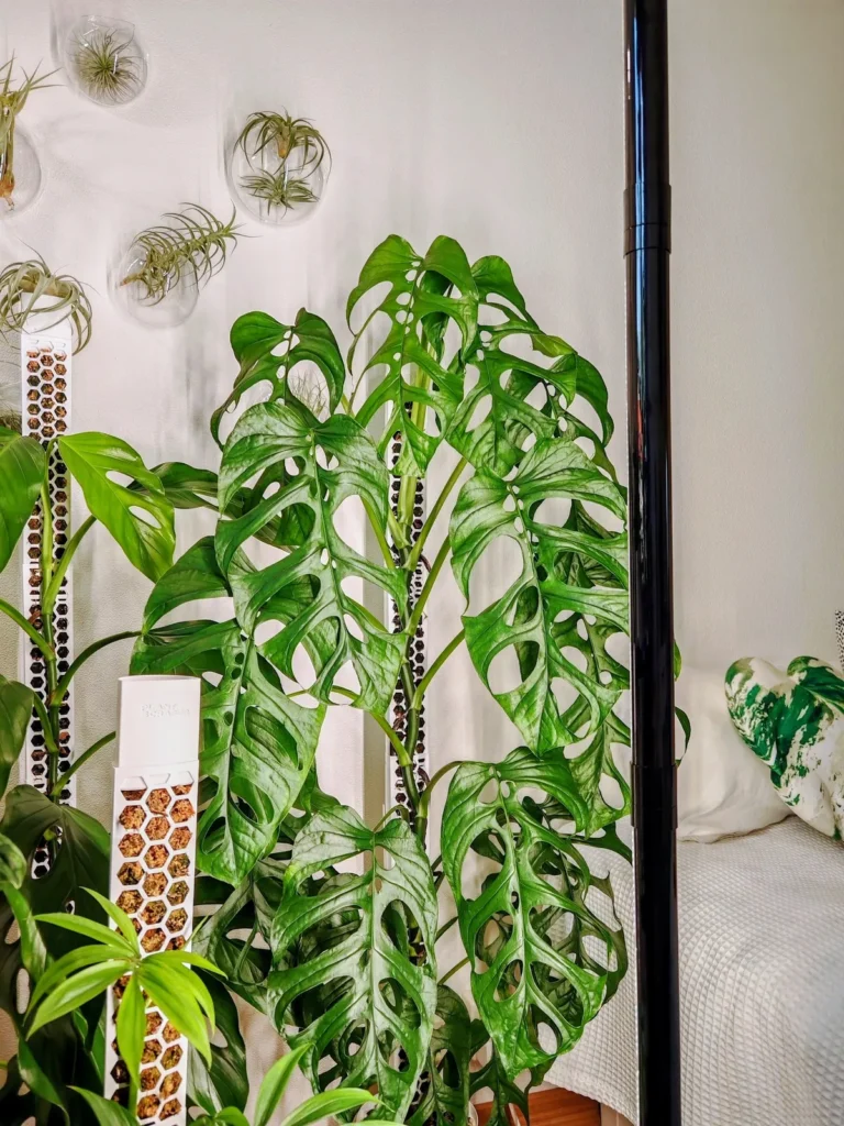 A slim black vertical light beside climbing plants on white honeycomb moss poles