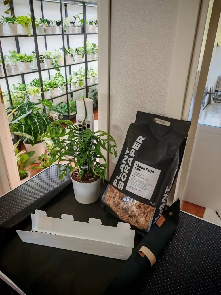 A young Monstera in a white pot beside an empty white moss pole section and a bag of PlantScraper Moss Pole Mix